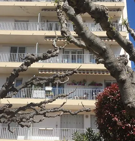 شقة Ensoleille Proche Remparts أفينيون