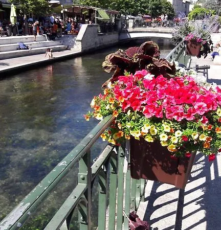Ensoleille Proche Remparts أفينيون